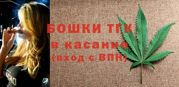 шишки Богородск